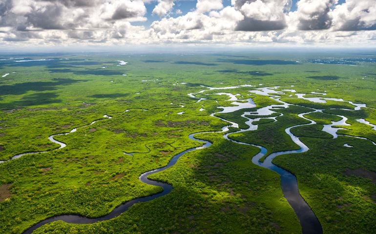 Aerial view of Everglades National Park in Florida, USA