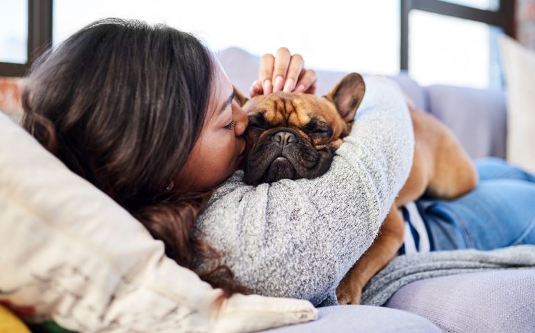 affection with dog