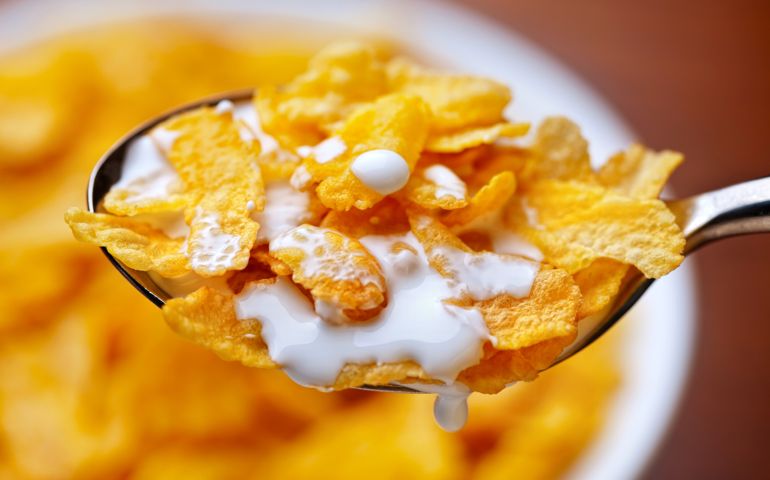 corn flakes with milk breakfast