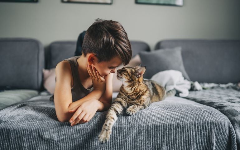 Little kid boy with his cat pet on the couch. Children and love pets concept. Friendship with aimals