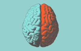 What's Your Cognitive Style? Analytical, Creative, or Practical