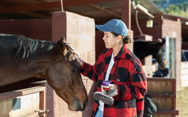 Positive woman stable worker combing and cleaning horse of dirt with brush. Horse care, love for animals concept