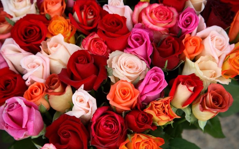 Roses for Sale at Flower Market