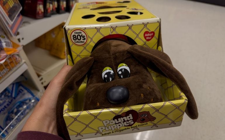 pound puppies