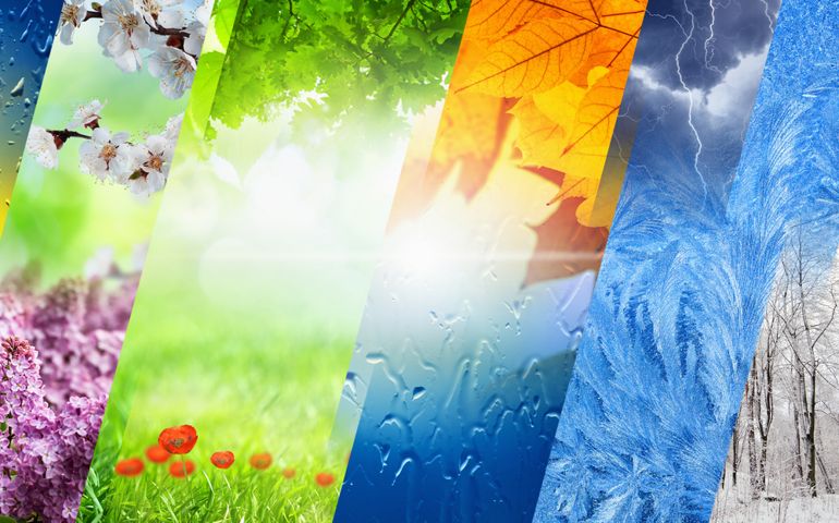 Beautiful nature collage - four seasons of year collage, vibrant images of different time of year - winter, spring, summer, autumn