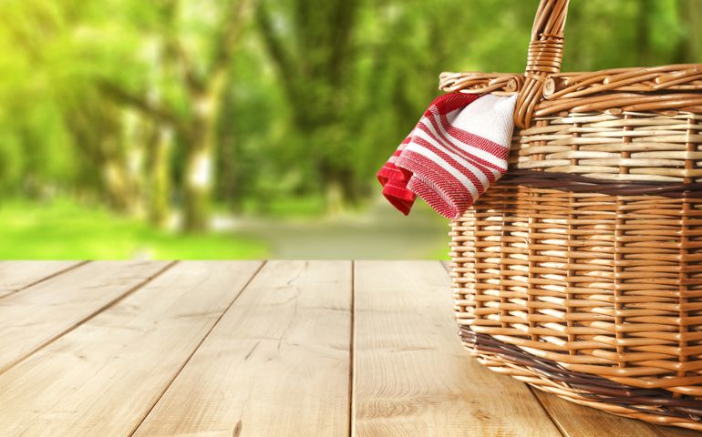 red napkin picnic basket and table place