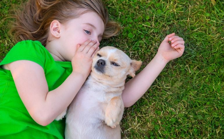 Blond happy girl with her chihuahua doggy portrait lying on lawn