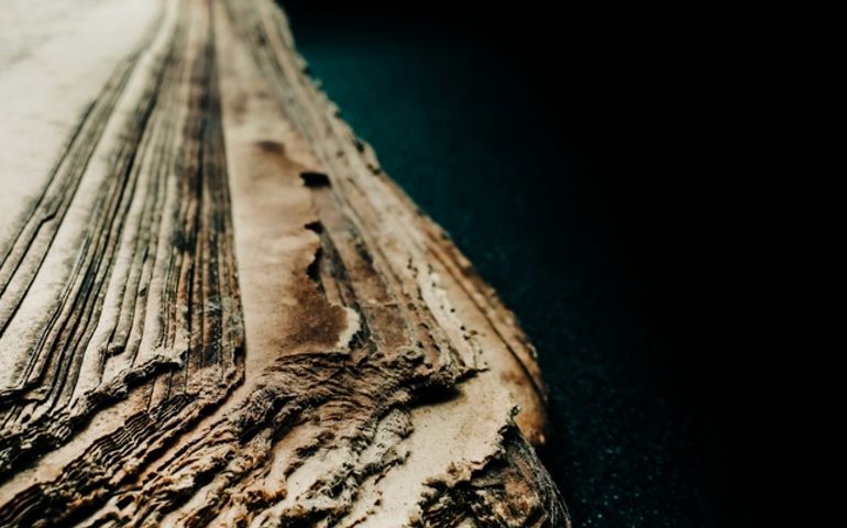 macro view of ancient papyrus, archival manuscripts.
