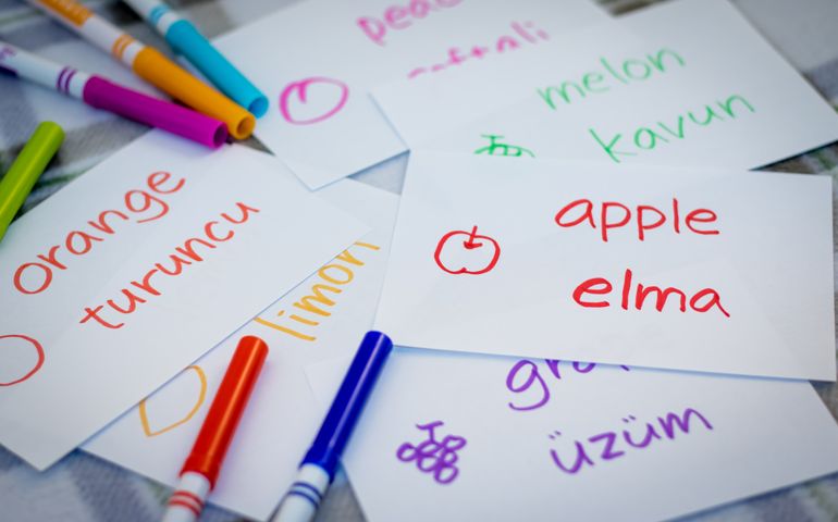 Turkish; Learning New Language with Fruits Name Flash Cards
