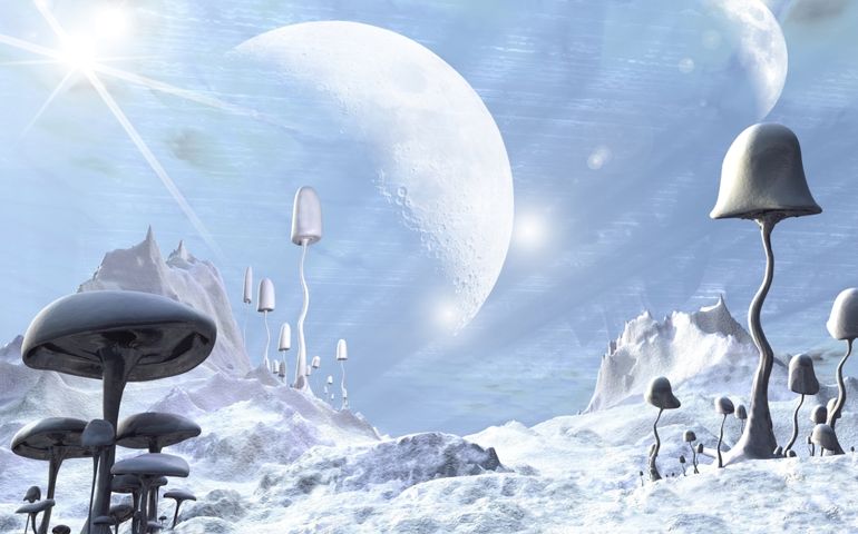 3d Digitally rendered illustration of a alien landscape covered with snow and ice, dotted with frozen giant mushrooms or toadstools