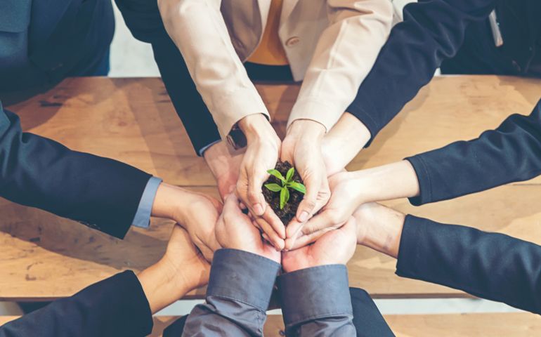 Hands adult business Team Work partnership harmony Cupping young Plant and seeding Nurture grow Environmental and reduce global warming help earth, top view. Ecology agriculture Concept