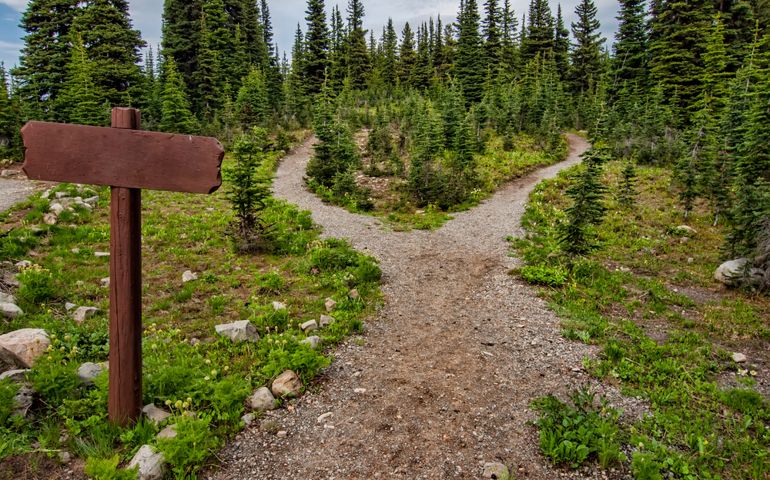 Showing a path splitting into two going into the woods with a blank signpost.