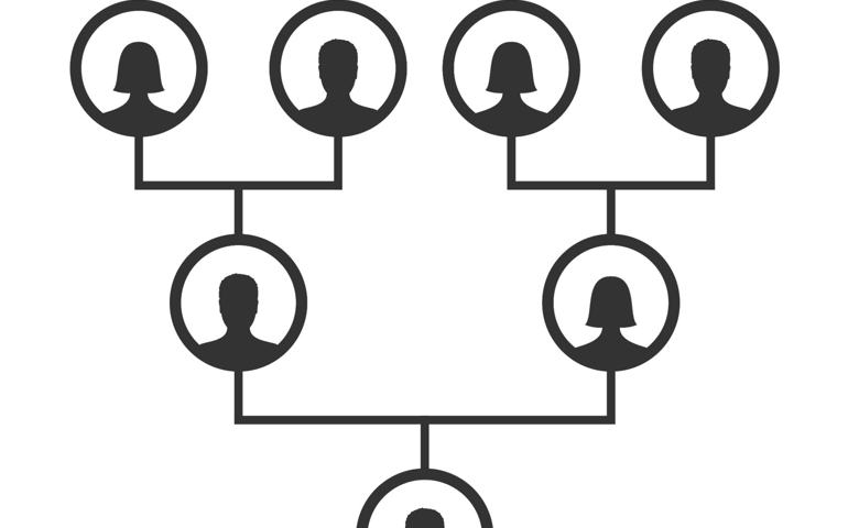 Family tree, pedigree or ancestry chart template. Family genealogical tree icons infographic avatars portraits in circular frames connected by lines. Links between relatives. Bloodline Vector