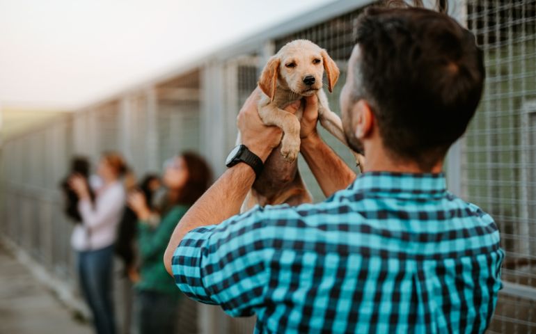 Young adult man adopting adorable dog in animal shelter.
