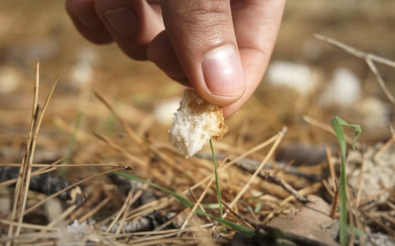 Breadcrumbs trail in the forest