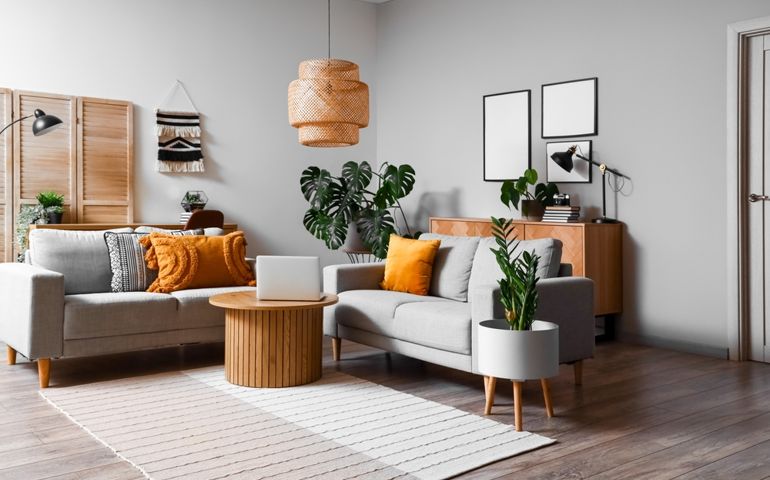 Interior of living room with green houseplants and sofas