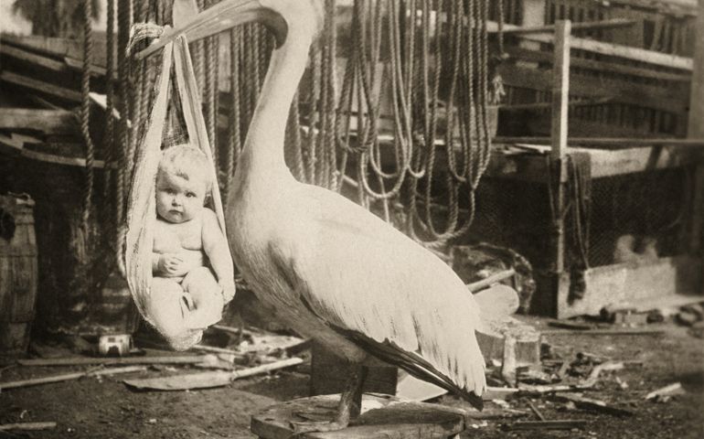 Vintage photo of a stork, holding a baby, slung from its large bill
