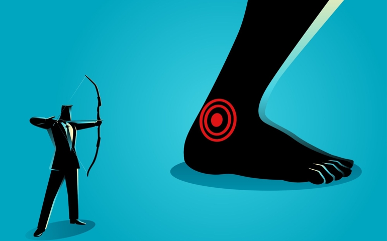Achilles' heel, a weak point or fault in someone or something otherwise perfect or excellent.