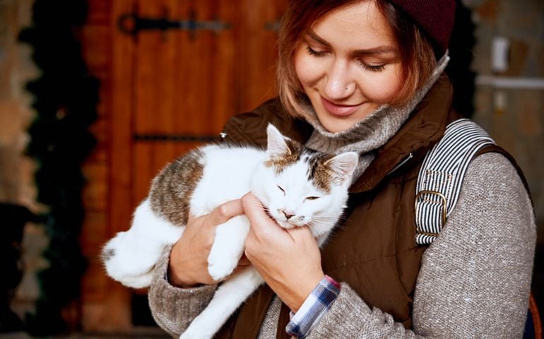 Cat in the hands of girl volunteer, in shelter for homeless animals. Pets.