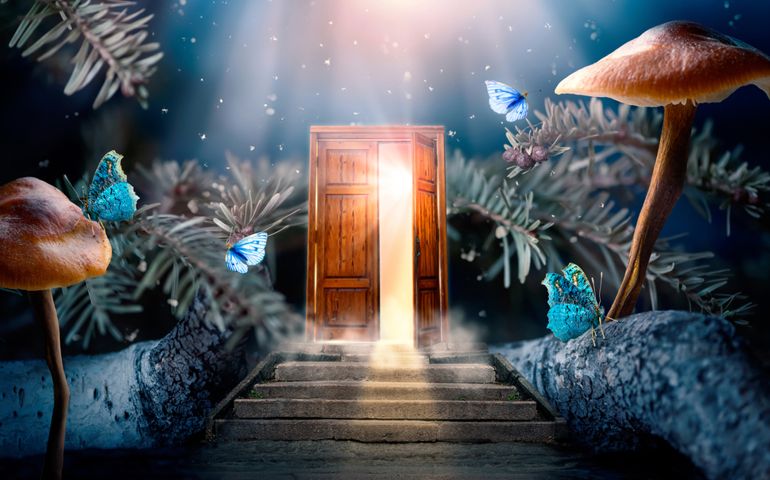 Fantasy enchanted fairy tale forest with magical opening secret wooden door and stairs leading to mystical shine light outside the gate, mushrooms, rays and flying fairytale magic butterflies in woods