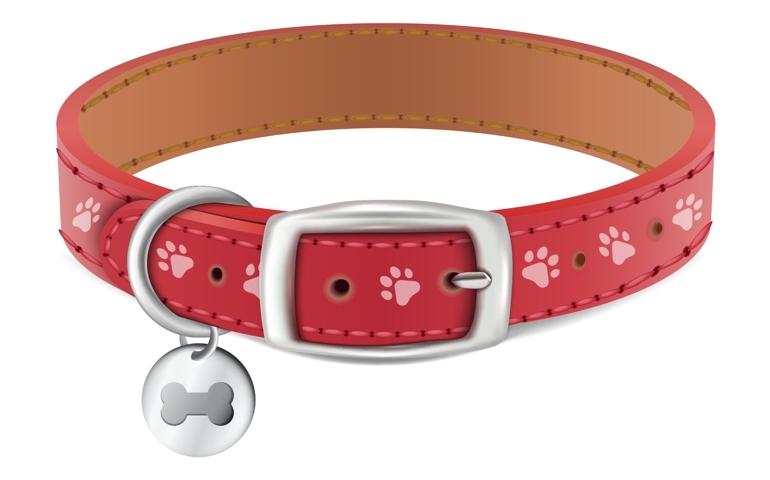 3d realistic vector dog or cat red collar with silver medal. Isolated on white background.