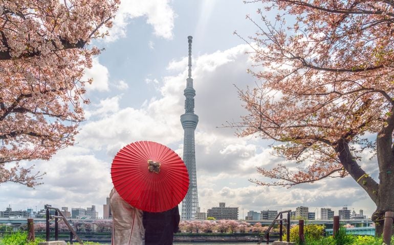 Tokyo skytree tower with sakura pink cherry blossom flower on spring season