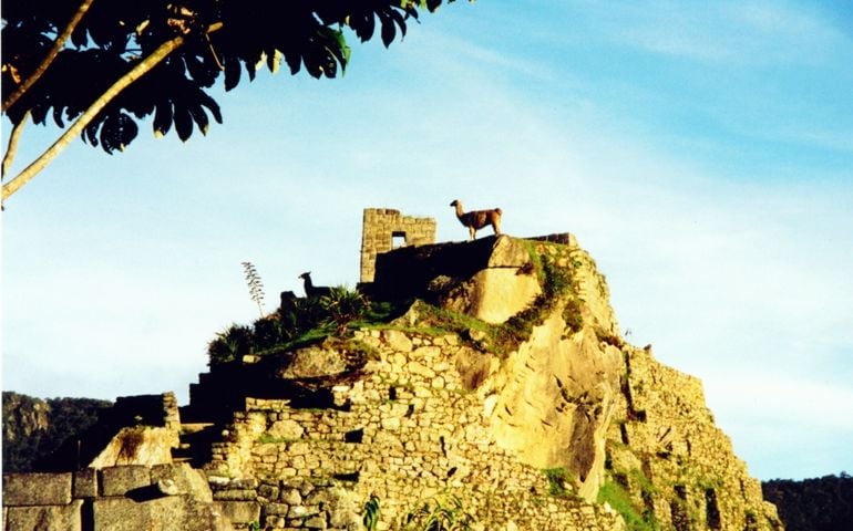 The Lost City of the Incas Machu Picchu